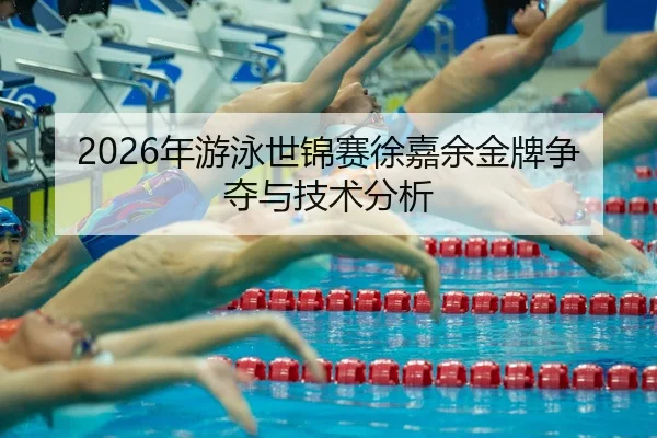 nian-you-yong-shi-jin-sai-xu-jia-yu-jin-pai-zheng-duo-yu-ji-shu-fen-xi-2-131.jpg