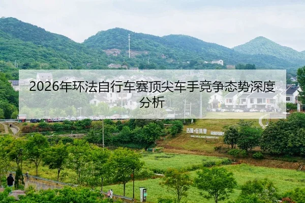 nian-huan-fa-zi-xing-che-sai-ding-jian-che-shou-jing-zheng-tai-shi-shen-du-fen-xi-2-379.jpg
